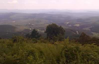 IMG 20140814 143818
