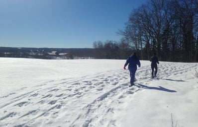 snowshoe3