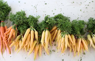 FM carrots 3
