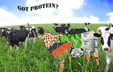 Got Protein new