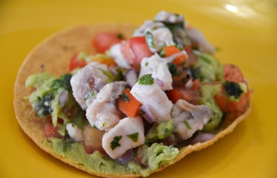 fish %28red snapper%29 tostada