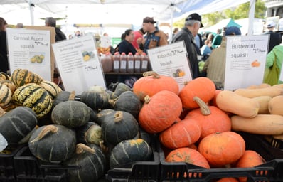 squash farmers market denise uy