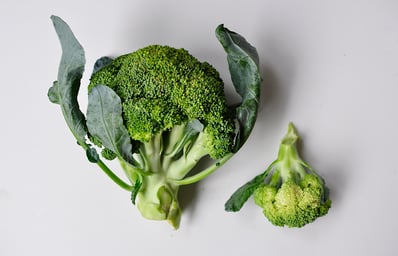 broccoli 2 jenny georgieva