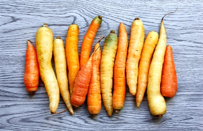 carrots 5 christin urso