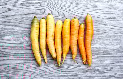 carrots 4 christin urso