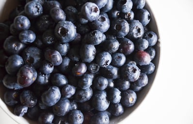 blueberries %282%29 jocelyn hsu