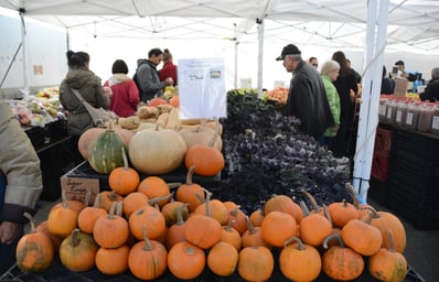 pumpkin farmers market denise uy