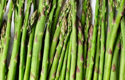 asparagus 2 jenny georgieva