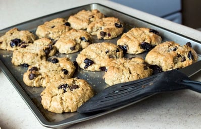 blueberry chocolate chip oatmeal cookies %285%29 brooke buchan