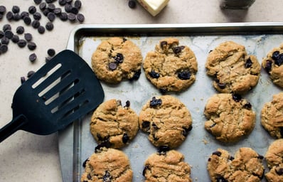 blueberry chocolate chip oatmeal cookies %282%29 brooke buchan