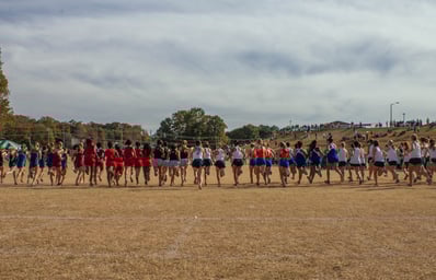 sports cross country line of runners