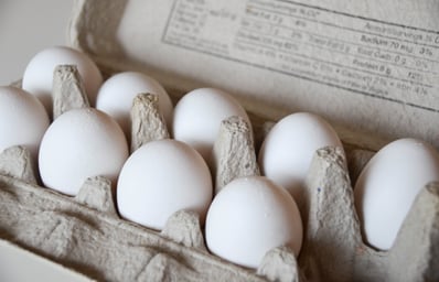 eggs egg carton jocelyn hsu