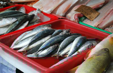 fish1 other %28seafoodwet%29 market denise uy