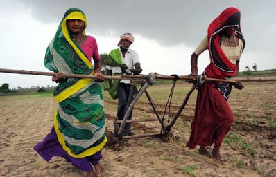 india1