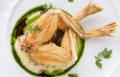 frog legs article