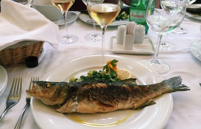 croatia fish