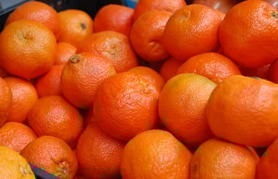 oranges amelia hitchens