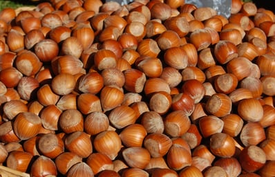 nuts ameliahitchens