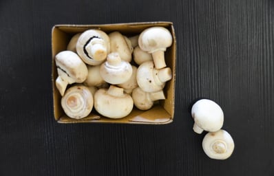 mushroom