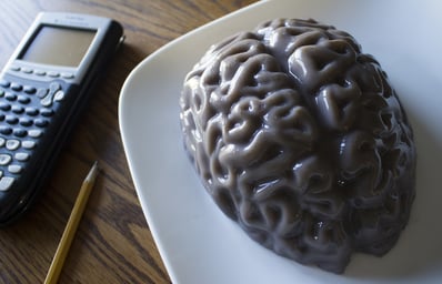 brain