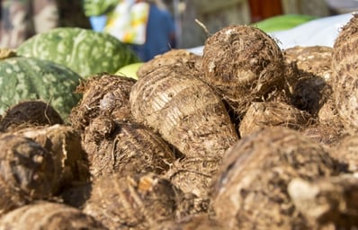 Taro root small