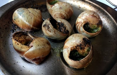 escargot
