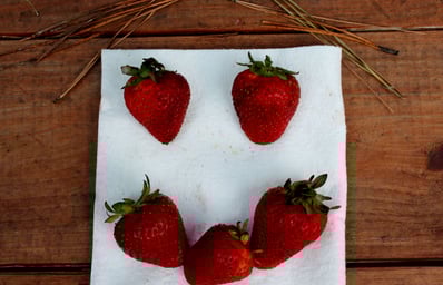 happy berry