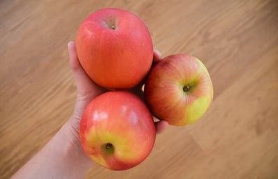 apples