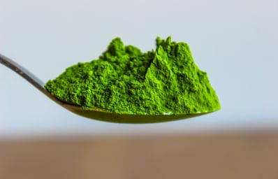 IMG 9358