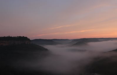 IMG 7746