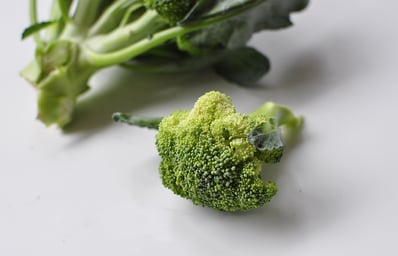 broccoli 1 jenny georgieva