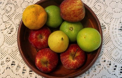 IMG 7474