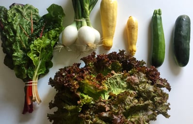 Veggies2 Erin Arnold
