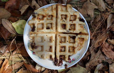 wafflintimes