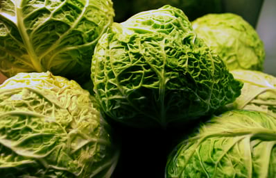 CabbageFC