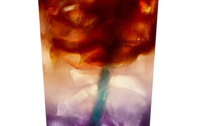 Starbucks FY18 Spring Butterfly Pea Lemonade Cold Brew %281%29