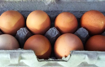 Eggs2