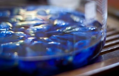 Butterfly pea flower tea