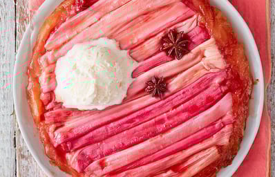 Rhubarb Cover Pic
