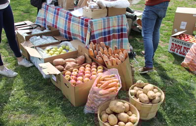 IMG 7880