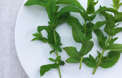 mint plated
