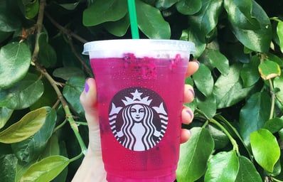 Mango Dragonfruit Starbucks Refreshers Blooming Wall