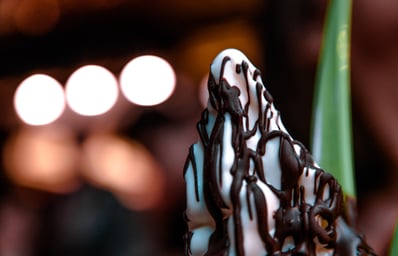 blur chocolate close up 325546