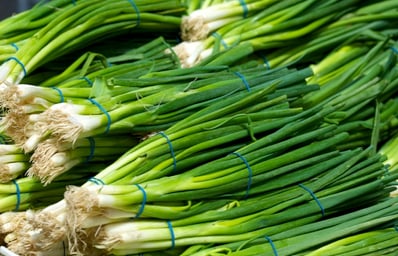Scallions 0