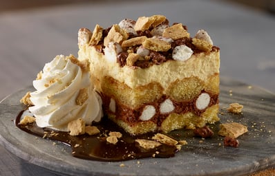 Smores Layer Cake %281%29