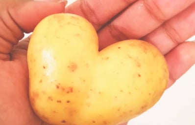 potato