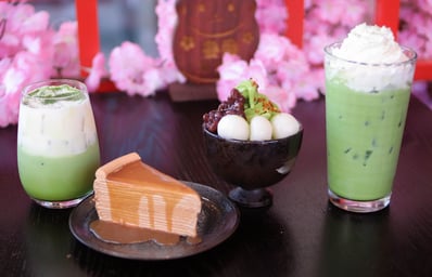 Amausaan Uji Line up v2