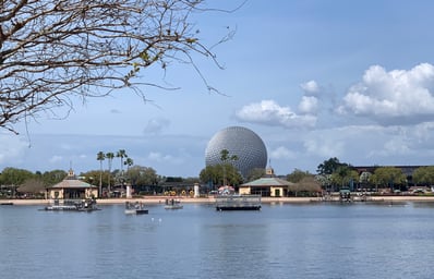 IMG 0617