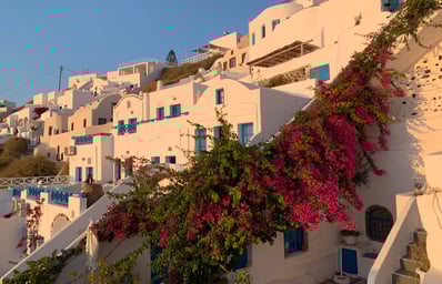 IMG 0786