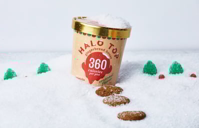 HTNov Gingerbread SnowHouse horizontal